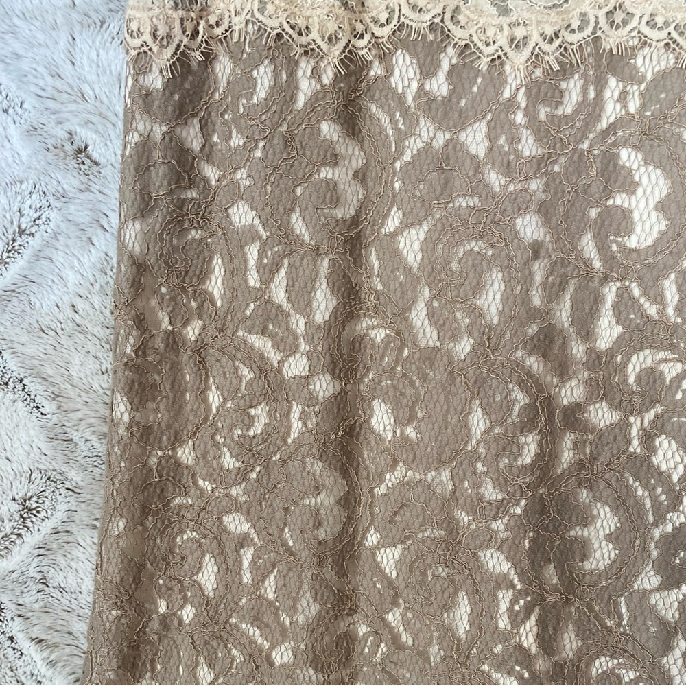 Tadashi Shoji Formal Lace Evening Gown Neutral Mother of Bride Elegant Size 6 - Picture 8 of 14